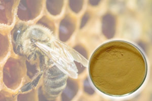 Keo ong propolis M.E.D – Khác biệt chiết xuất độc quyền sáng chế từ Italy