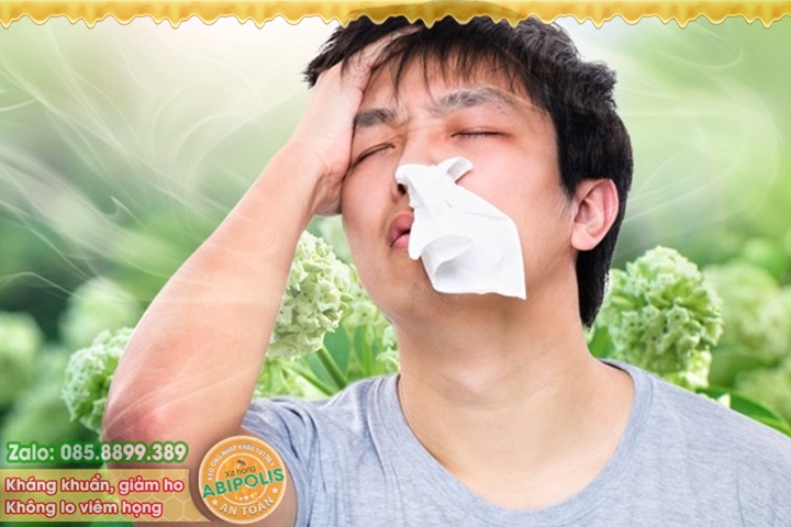 Trị viêm mũi dị ứng với 4 món ăn ngon, bổ, dễ làm