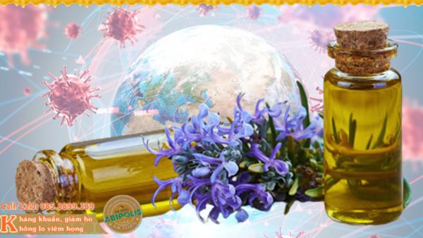 Sáng tỏ tinh dầu phòng chống dịch viêm đường hô hấp cấp