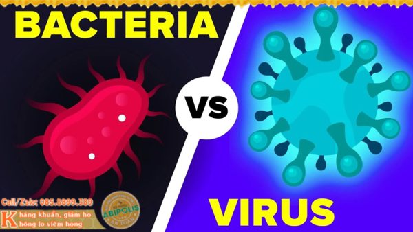 Phân biệt rõ vi khuẩn và virus, yếu tố quyết định trong trị bệnh